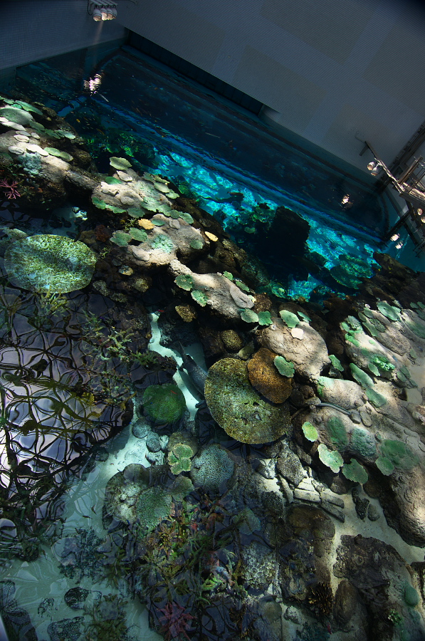 IMGP2953.jpg(487959 byte)