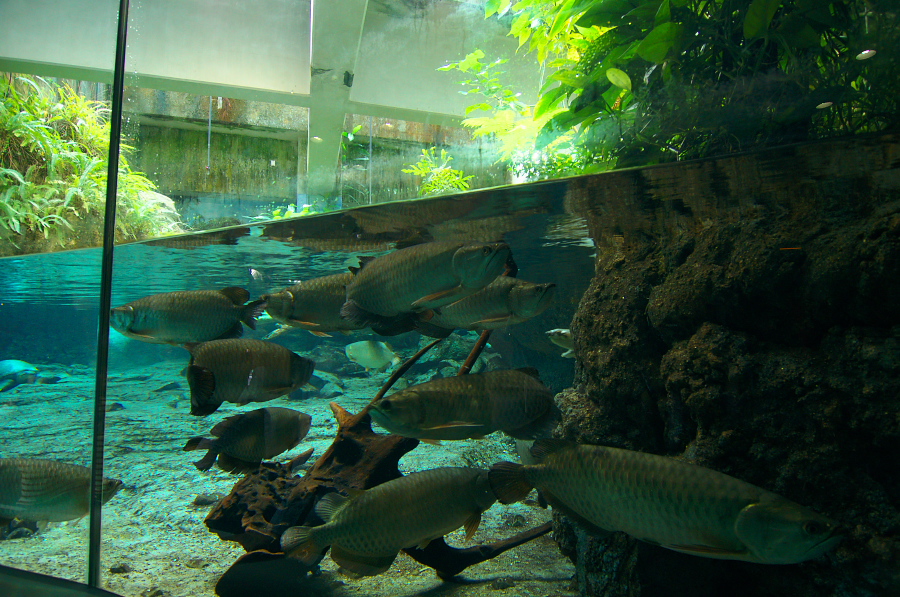 IMGP2958.jpg(459159 byte)