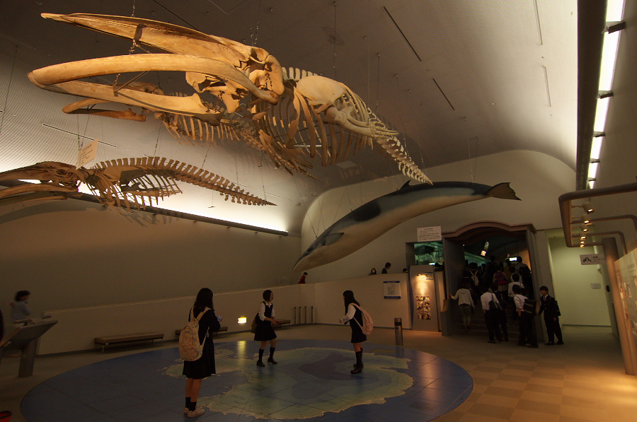 IMGP2960.jpg(325836 byte)