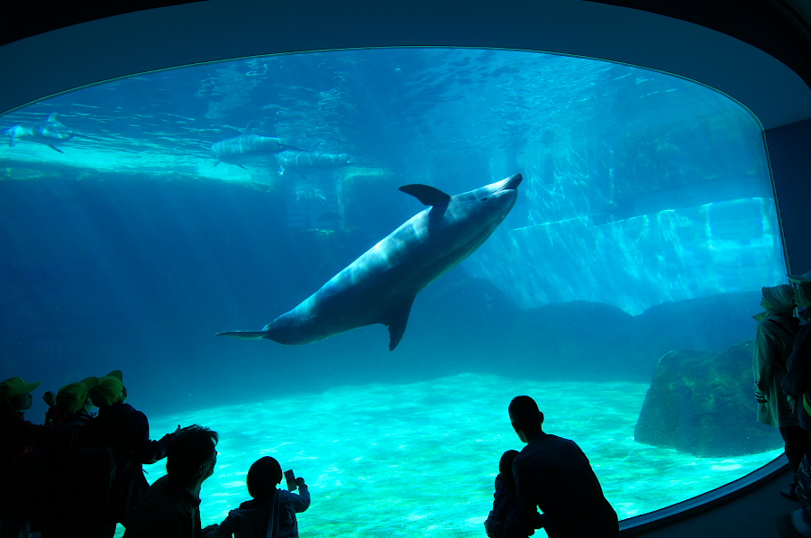 IMGP2977.jpg(249483 byte)