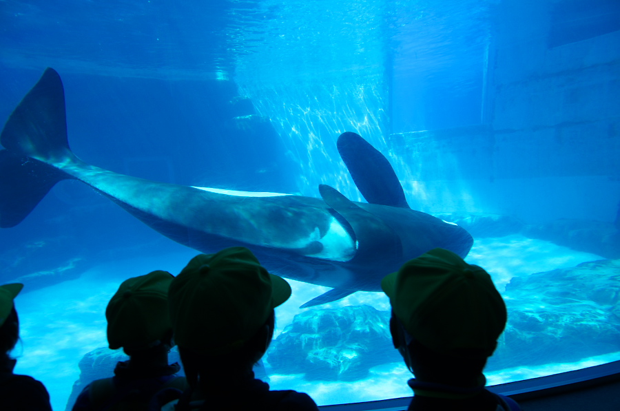 IMGP2983.jpg(229986 byte)