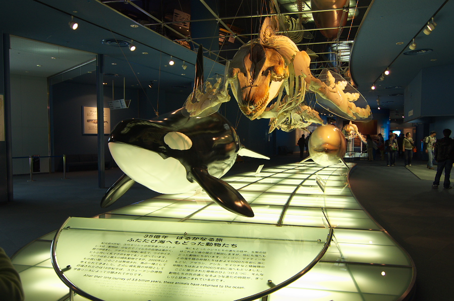 IMGP2987.jpg(344925 byte)