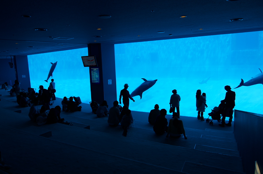 IMGP2993.jpg(203282 byte)