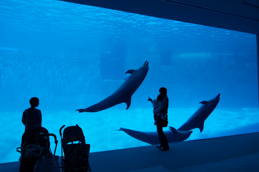 IMGP2995.jpg(197401 byte)