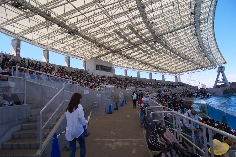 IMGP3000.jpg(487609 byte)