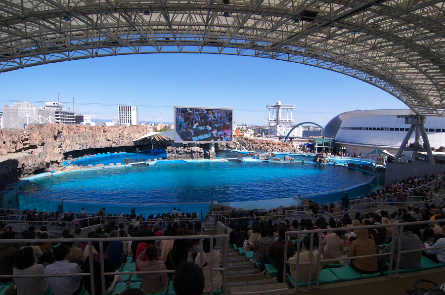 IMGP3002.jpg(429028 byte)