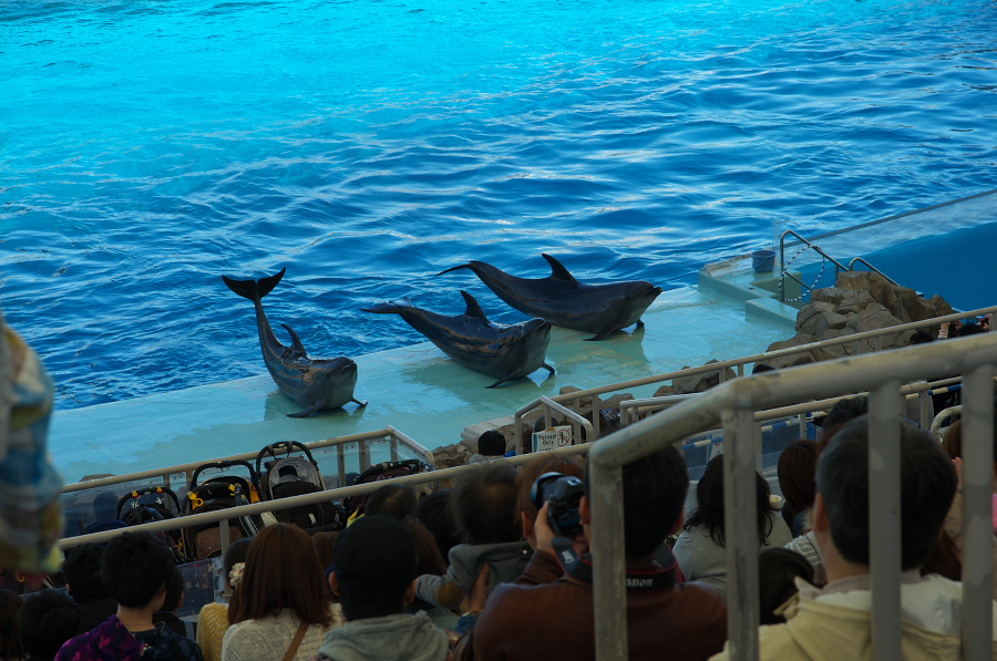 IMGP3007.jpg(364578 byte)