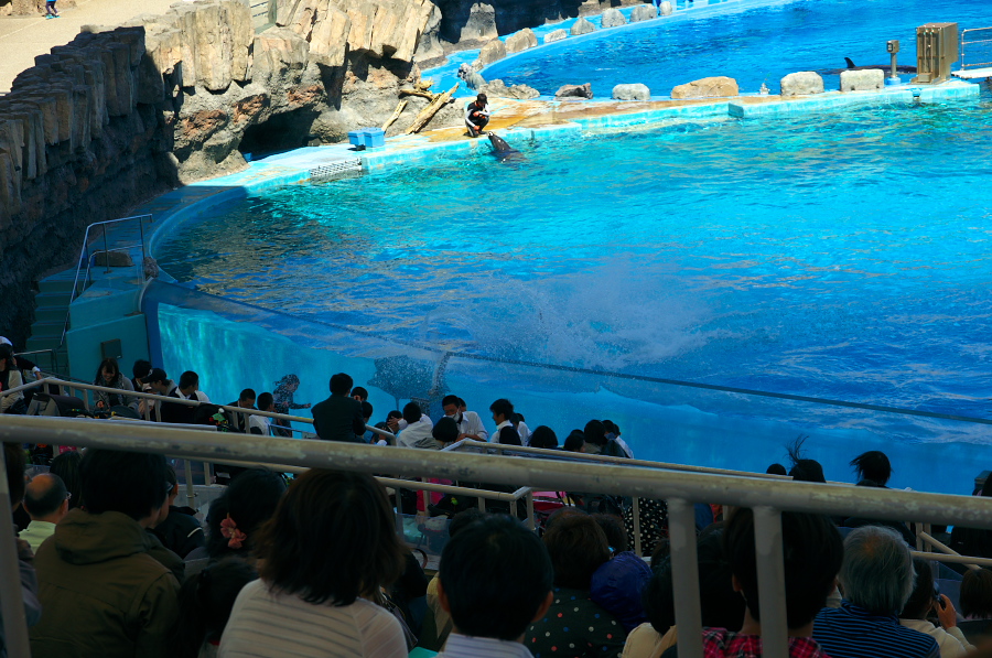 IMGP3013.jpg(423541 byte)