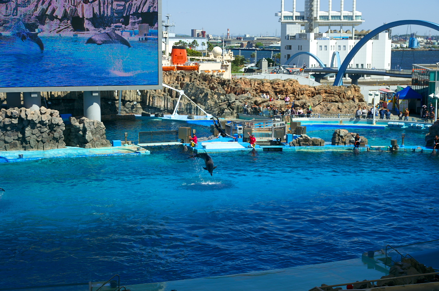 IMGP3017.jpg(483504 byte)