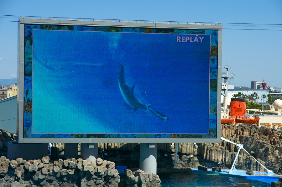 IMGP3018.jpg(371648 byte)