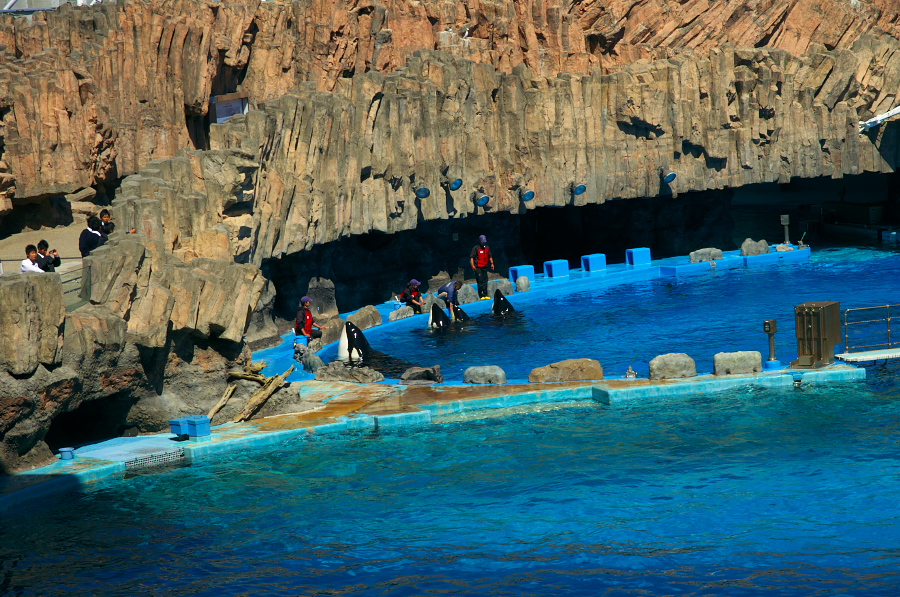 IMGP3028.jpg(508521 byte)