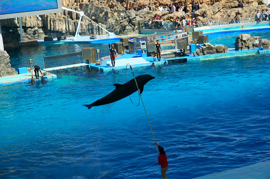 IMGP3040.jpg(503872 byte)