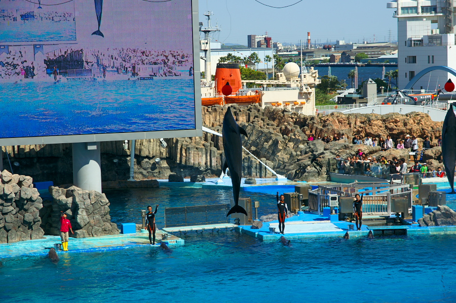 IMGP3044.jpg(516842 byte)