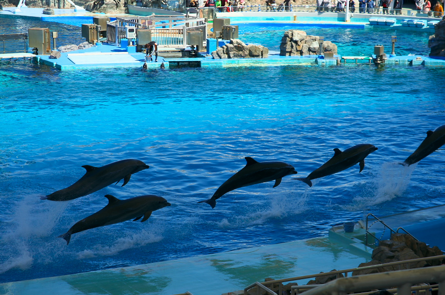 IMGP3050.jpg(471848 byte)