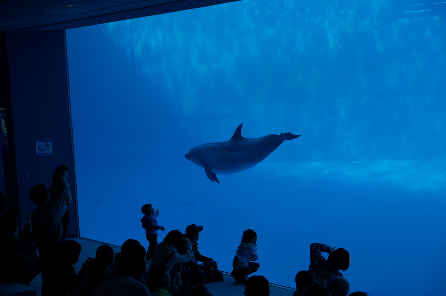 IMGP3060.jpg(157351 byte)