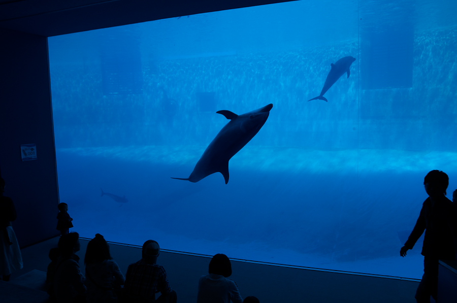 IMGP3065.jpg(162724 byte)