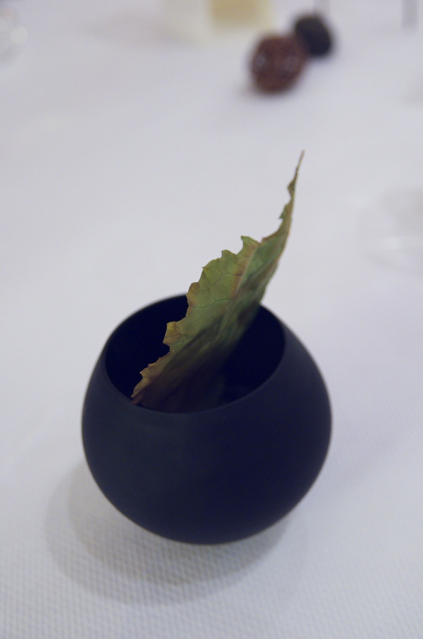 IMGP3111.jpg(160852 byte)