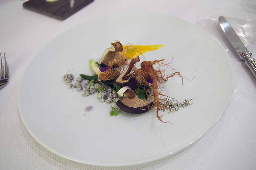 IMGP3131.jpg(218429 byte)