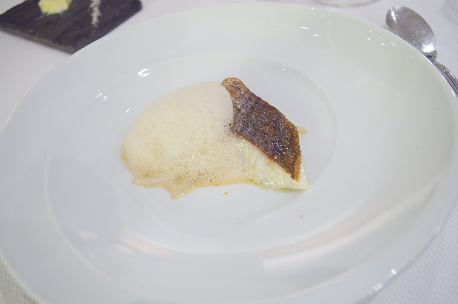 IMGP3182.jpg(175313 byte)