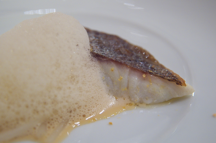 IMGP3188.jpg(219477 byte)