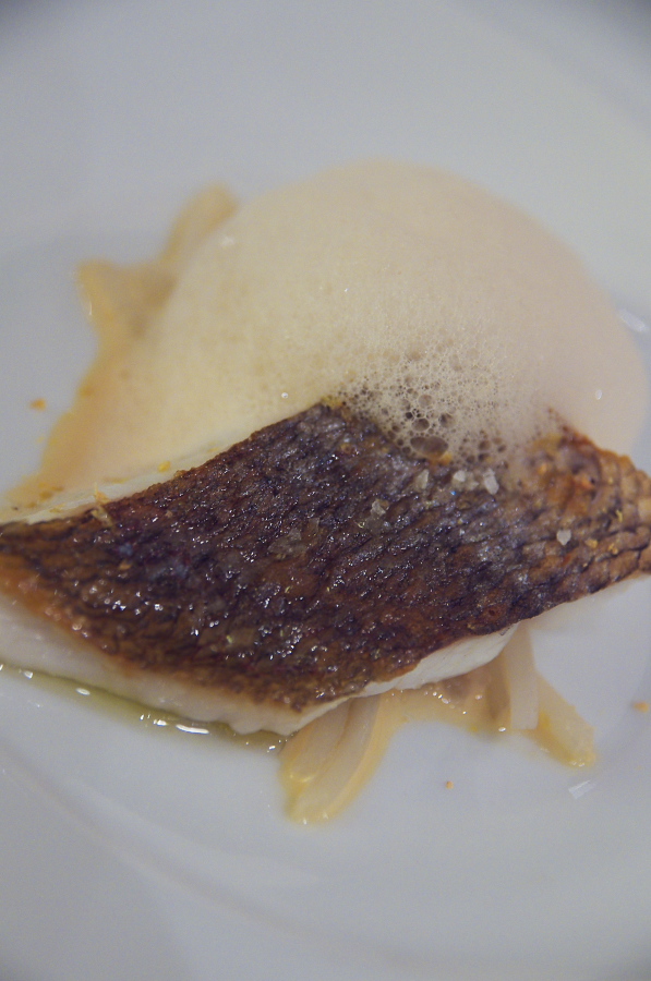 IMGP3189.jpg(247400 byte)