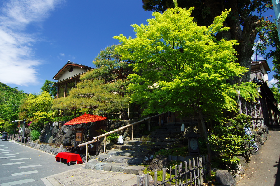 IMGP3325.jpg(529447 byte)