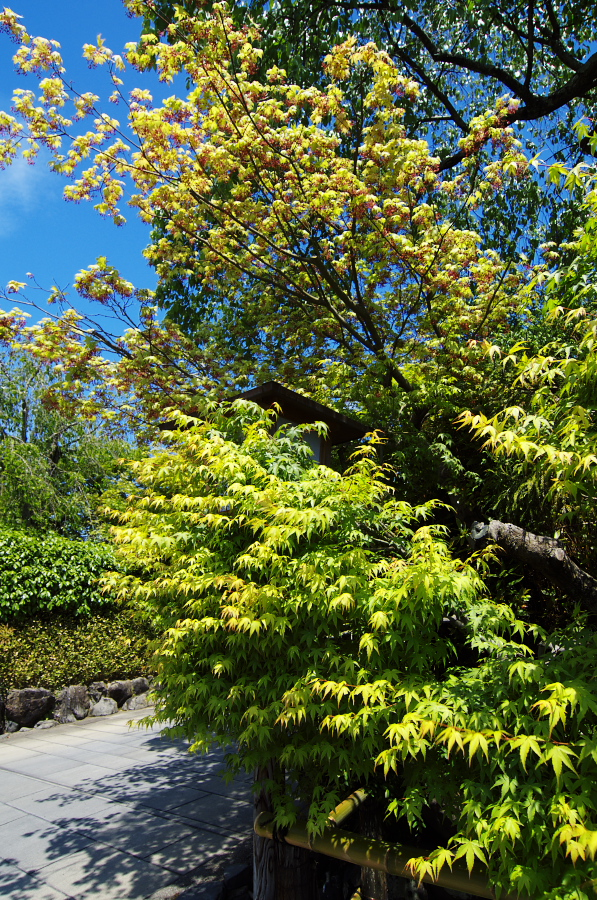 IMGP3327.jpg(696454 byte)