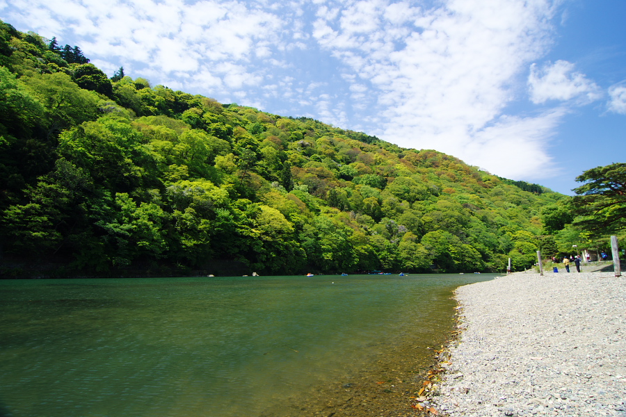 IMGP3330.jpg(432946 byte)