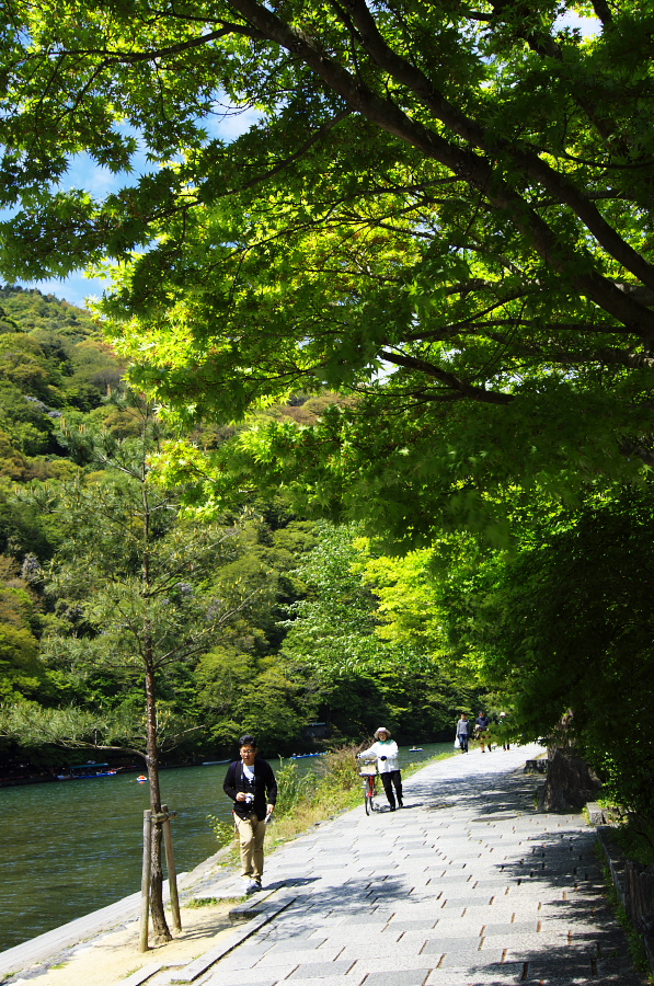 IMGP3335.jpg(624470 byte)