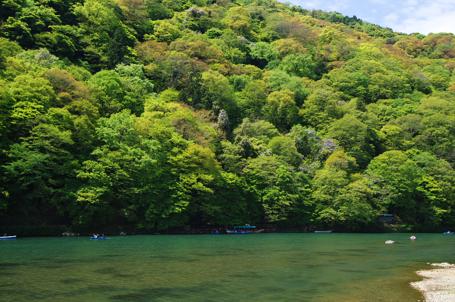 IMGP3340.jpg(545788 byte)