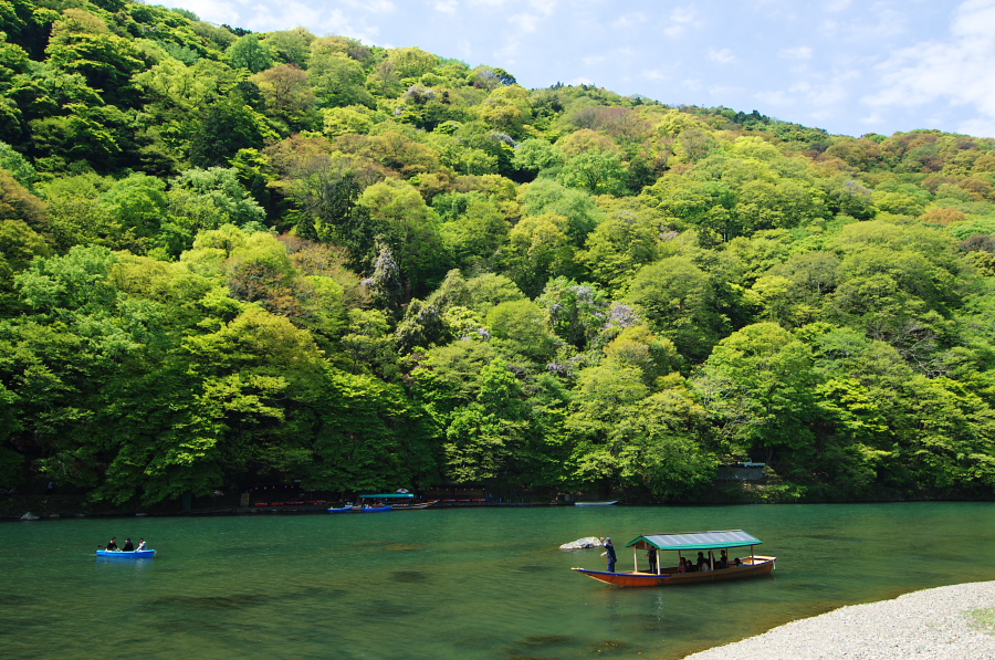 IMGP3347.jpg(519139 byte)