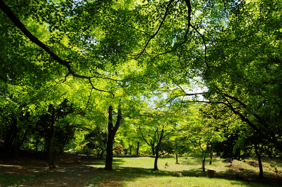 IMGP3351.jpg(728945 byte)