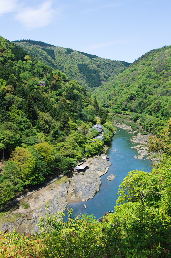 IMGP3355.jpg(543028 byte)