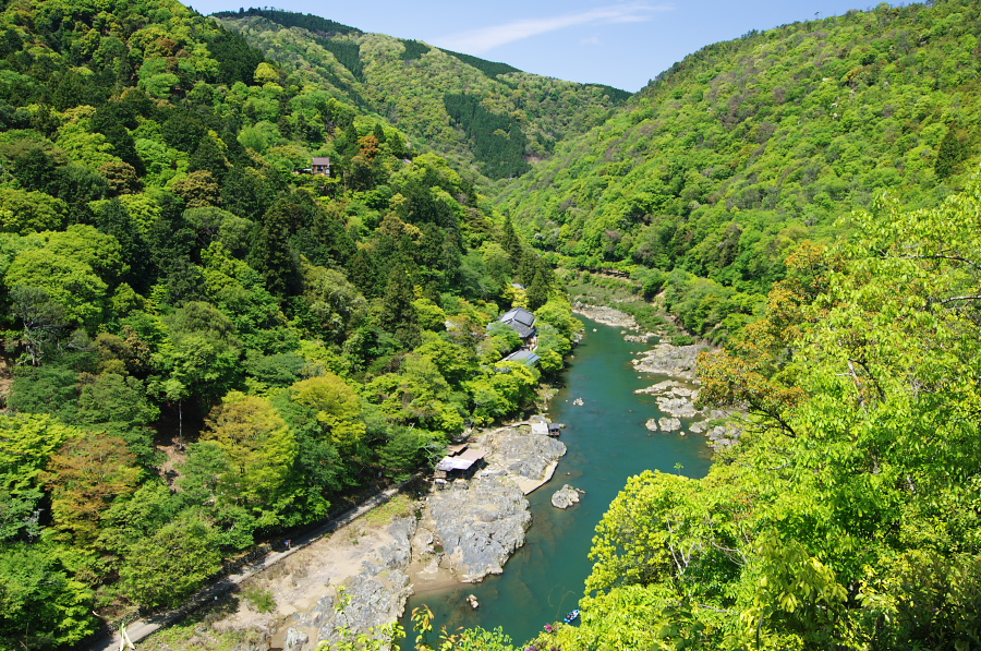 IMGP3357.jpg(660879 byte)