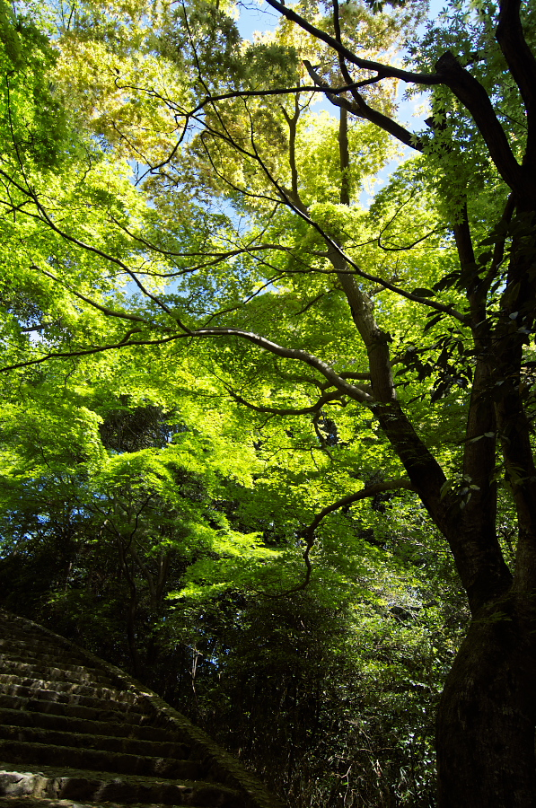 IMGP3361.jpg(664036 byte)