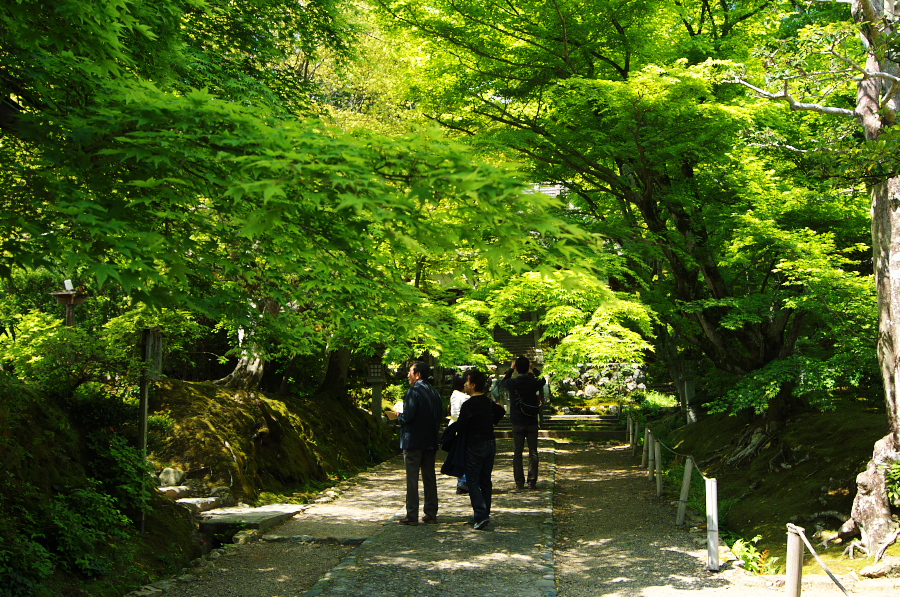 IMGP3369.jpg(639474 byte)