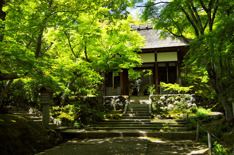 IMGP3373.jpg(644854 byte)