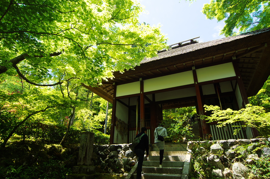 IMGP3377.jpg(591467 byte)