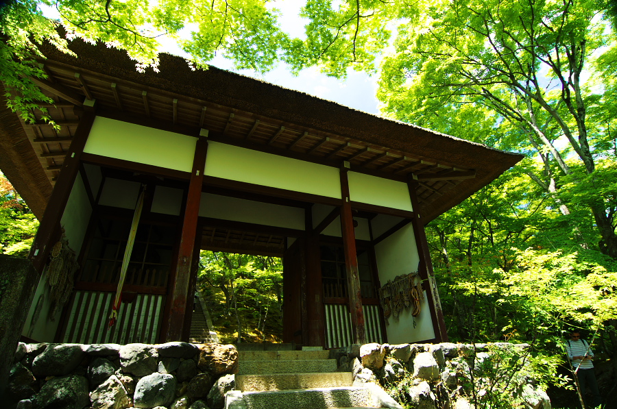 IMGP3379.jpg(563174 byte)