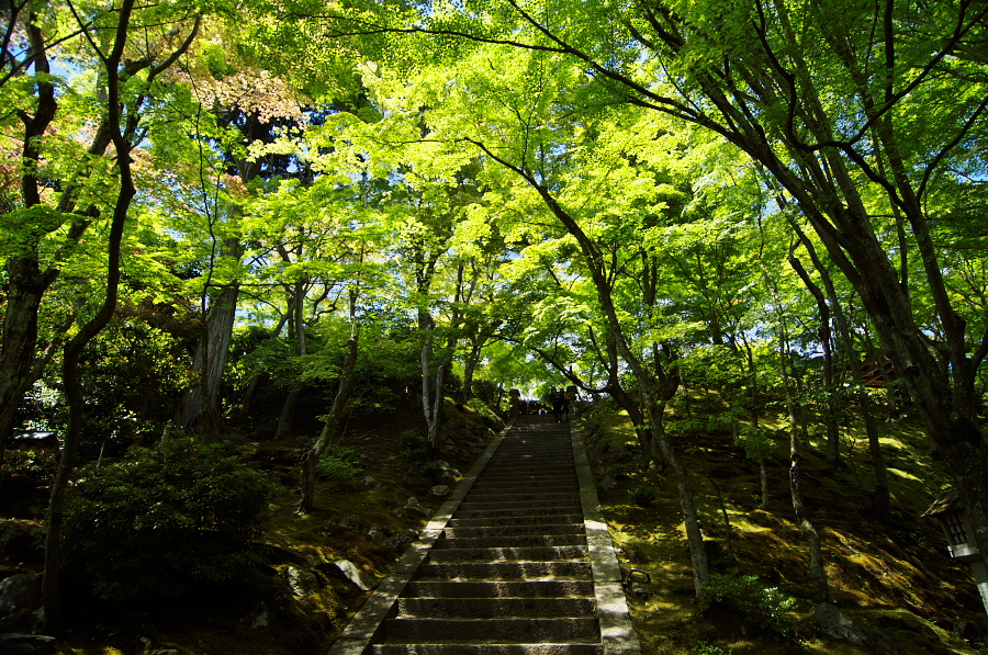 IMGP3391.jpg(656297 byte)