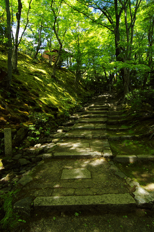 IMGP3392.jpg(602020 byte)