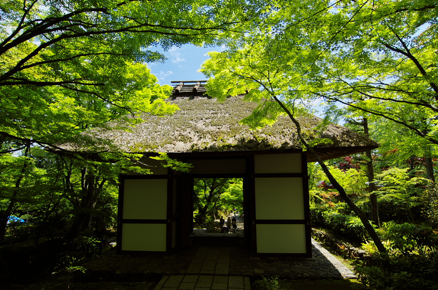 IMGP3395.jpg(613325 byte)