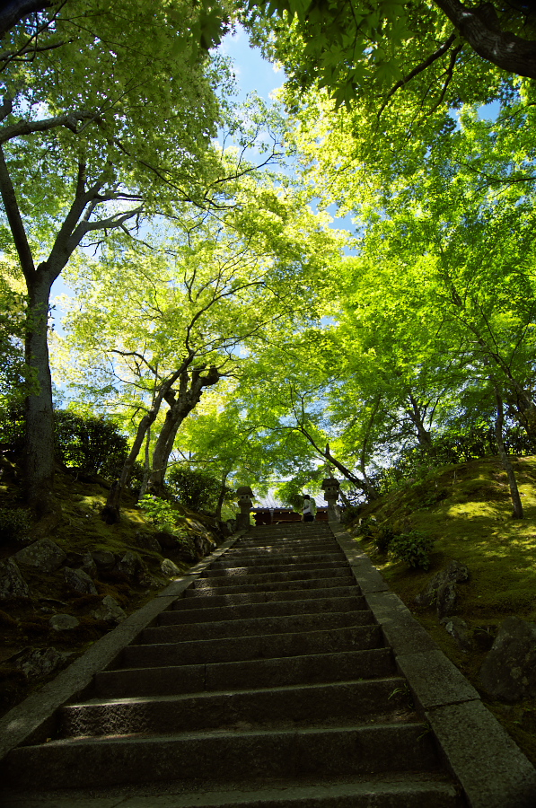 IMGP3397.jpg(588431 byte)