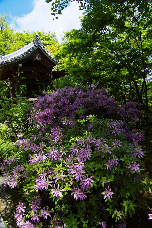 IMGP3401.jpg(627320 byte)