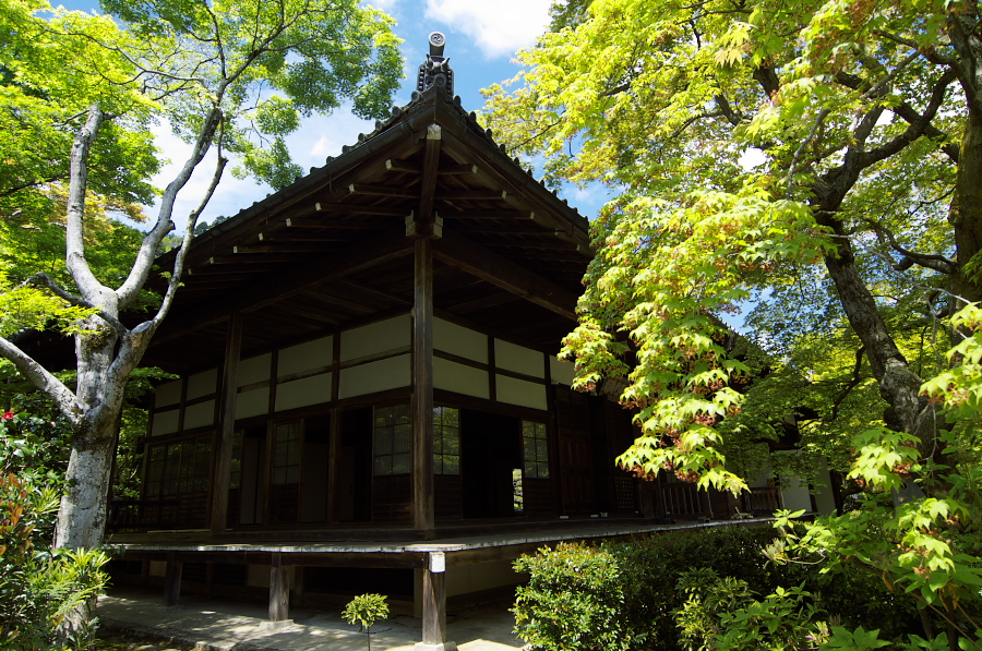 IMGP3405.jpg(564140 byte)