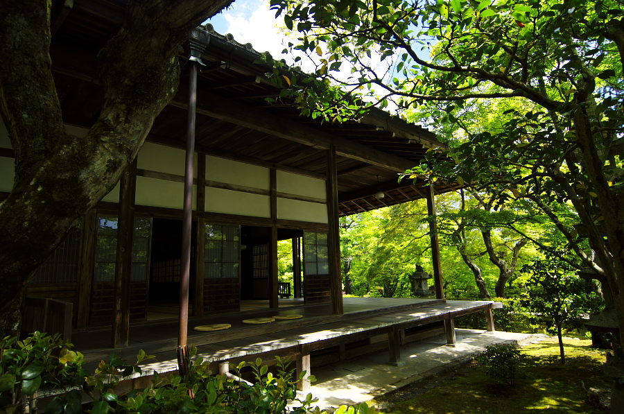 IMGP3406.jpg(497774 byte)