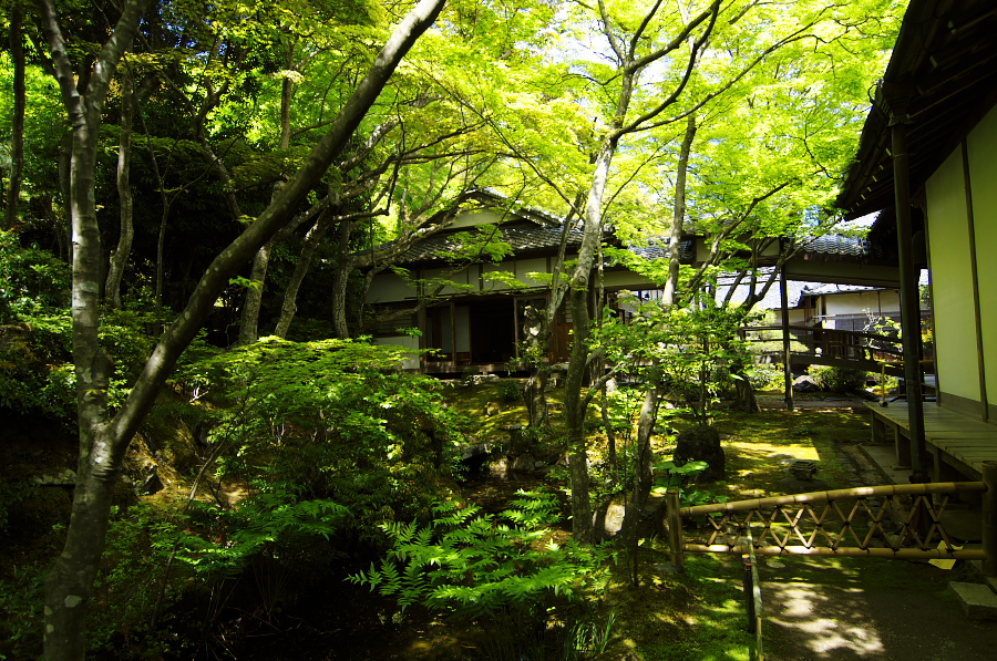 IMGP3408.jpg(592524 byte)