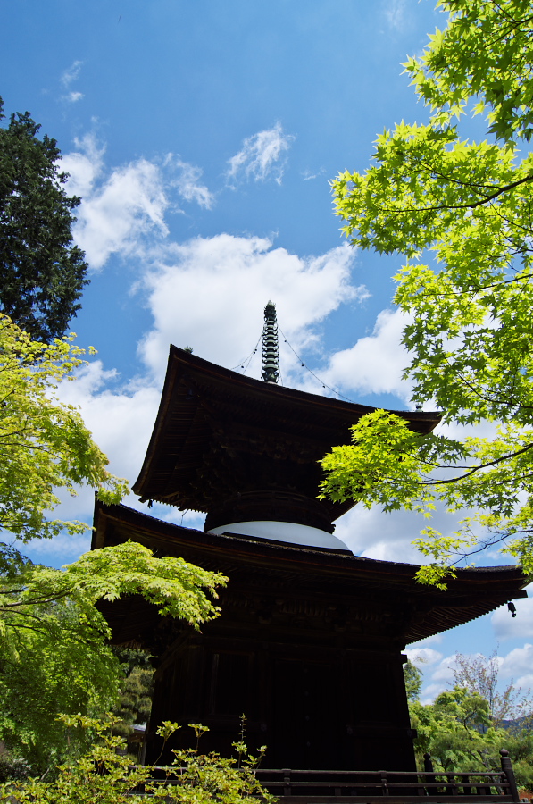 IMGP3416.jpg(438000 byte)