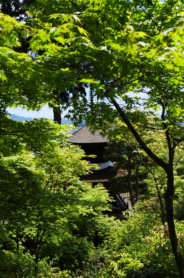 IMGP3425.jpg(660791 byte)