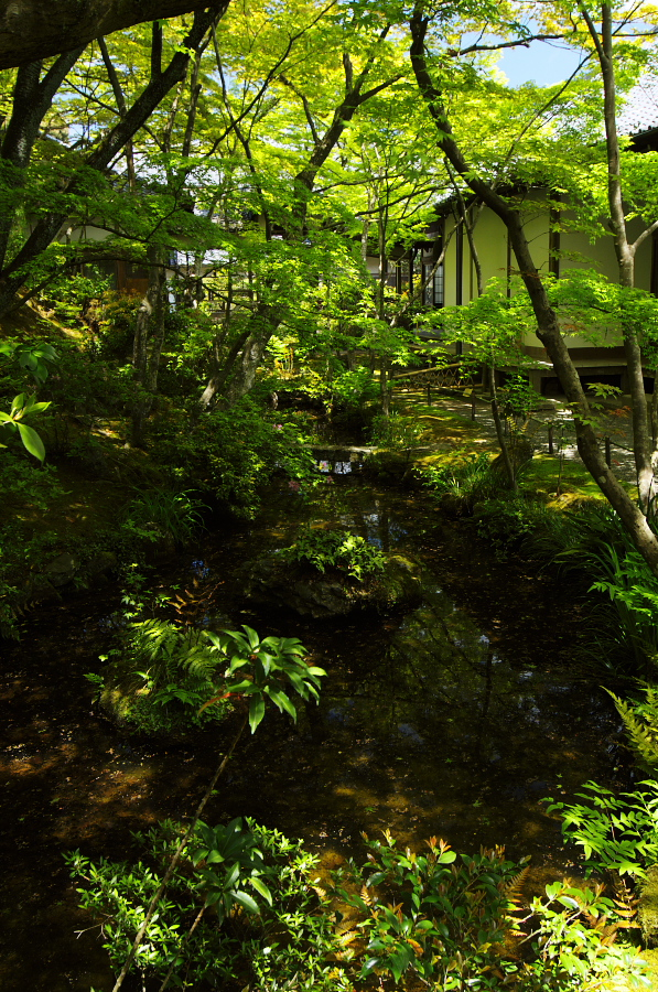 IMGP3427.jpg(609622 byte)